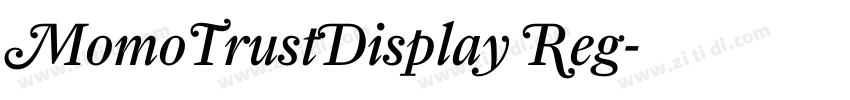 MomoTrustDisplay Reg字体转换 MomoTrustDisplay Reg字体转换